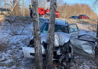 Дерево разворотило съехавшую в кювет машину под Воронежем – погибла женщина 