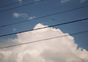 Что нас ждет на грядущей неделе? Прогноз погоды в Воронеже