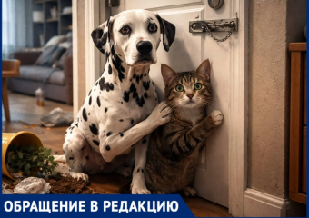 «Сегодня она уже не лает»: собака и кошка неделю заперты в пустой квартире в Воронеже
