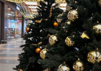 Зимняя сказка: как выглядит новогодний Воронеж