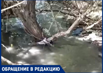 Дышать реально нечем: поток фекалий устремился в реку из-за аварии в Воронежской области