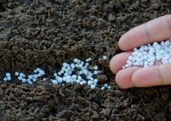 Под Воронежем запустят крупнейший логистический центр удобрений