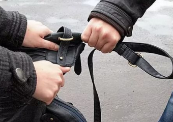На улице Беговой в Воронеже у женщины вырвали сумку с деньгами
