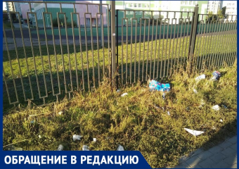 На стихийную свалку около элитной школы пожаловались воронежцы