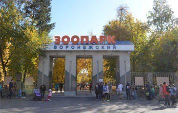 В Воронежском зоопарке пройдет бесплатная выставка животных