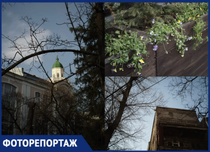 Не только подснежники: как Воронеж просыпается после зимней спячки