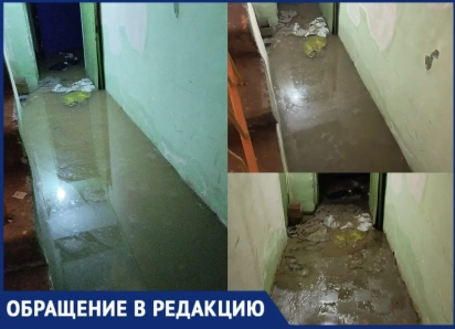 «Сотрудники травятся, свет отключен, а ремонт займет 3–4 месяца»: воронежский благотворительный склад утонул в фекалиях