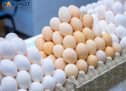 Кризис несушек? Резкое сокращение производства яиц зафиксировано в Воронежской области