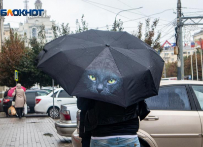 Лето отменяется? Хмурой ожидается погода в Воронеже 