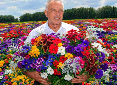 Аннинский Василий Авдеев перещеголяет Воронеж: заказал посадку почти 50 тыс цветов против 10 тыс в областном центре