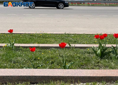 «Скоро будет пройден рубеж»: синоптик рассказал, когда потеплеет в Воронежской области