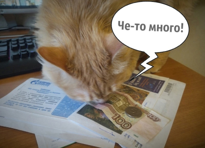 «Больше 20 тысяч»: сколько приходится тратить на оплату ЖКХ в месяц, рассказали читатели «Блокнота» 