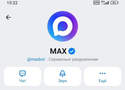 Липчане за 10 миллионов рублей создадут сервис в мессенджере МАКС для воронежского Минздрава 