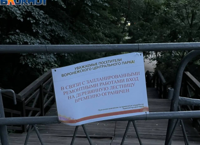 Аварийную лестницу в воронежском Центральном парке закрыли для посетителей