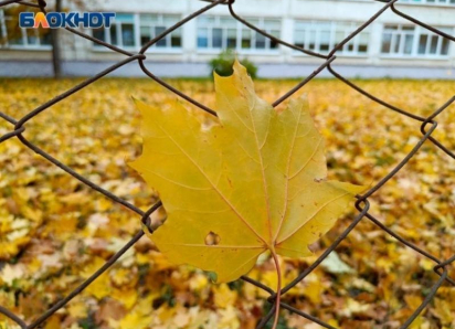 Когда давали отопление в Воронеже в прежние годы: поднимаем архив