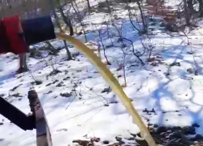 Уничтожитель природы сбежал от депутата и попал на видео в Воронежской области