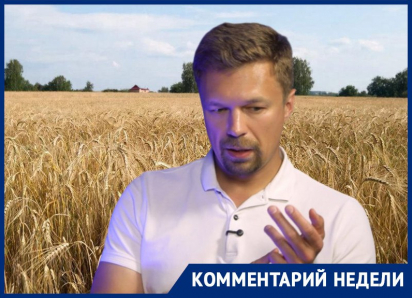 Узнаем что там не по отчетам: честные итоги урожаю-2025 подвел воронежский фермер 