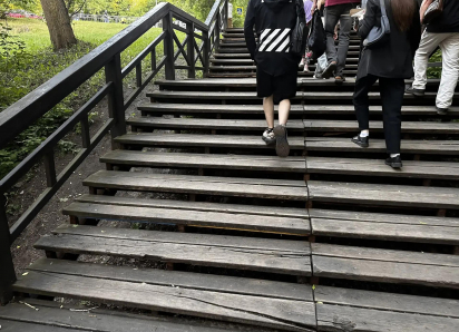 В полтора миллиона рублей может обойтись ремонт деревянной лестницы в Центральном парке Воронежа