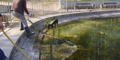 Возобновились работы по очистке искусственного пруда в Центральном парке Воронежа