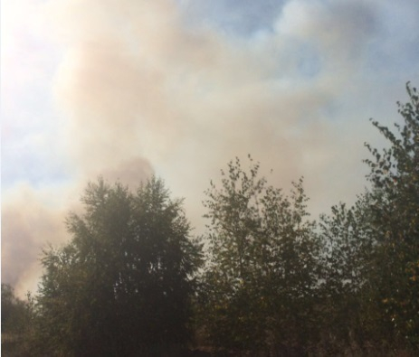 Около двухсот человек потушили чудовищный пожар на левом берегу Воронежа