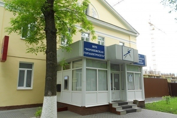 Владельцем «Воронежской горэлектросети» может стать областное правительство