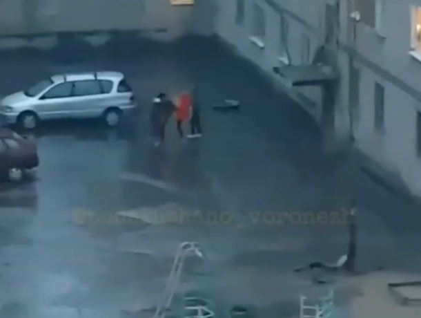 Массовое избиение девушки в Воронеже сняли на видео