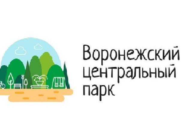Воронежский центральный парк заподозрили в плагиате
