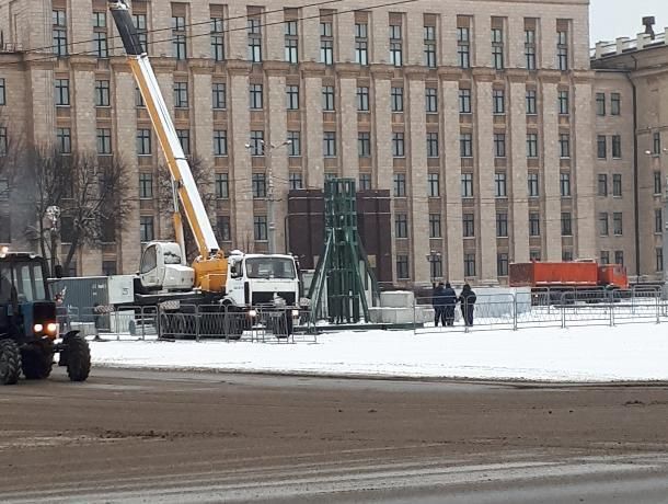 В Воронеже начали устанавливать главную новогоднюю елку