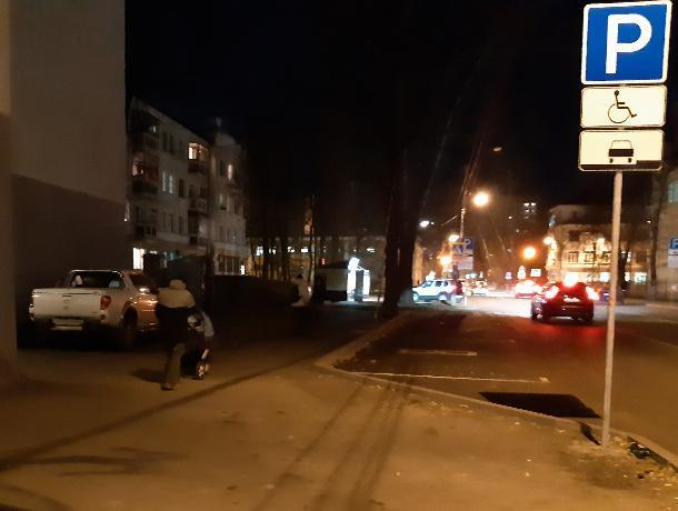 Протестующего против платных парковок «автожлоба» защитили в Воронеже