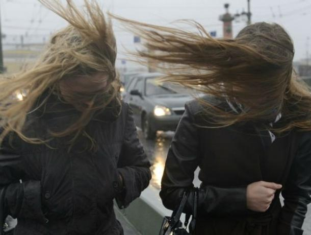 Из-за шквалистого ветра в Воронеже объявлен желтый уровень опасности