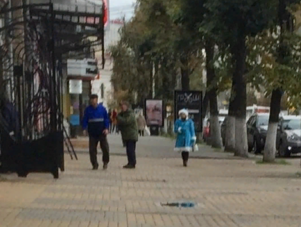Девушку в неуместной для сезона одежде застали в центре Воронеже
