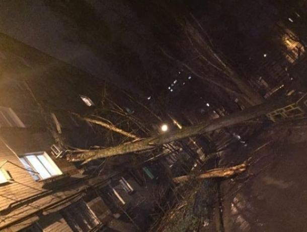 Ураган в Воронеже повалил деревья на детский сад, дома и машины