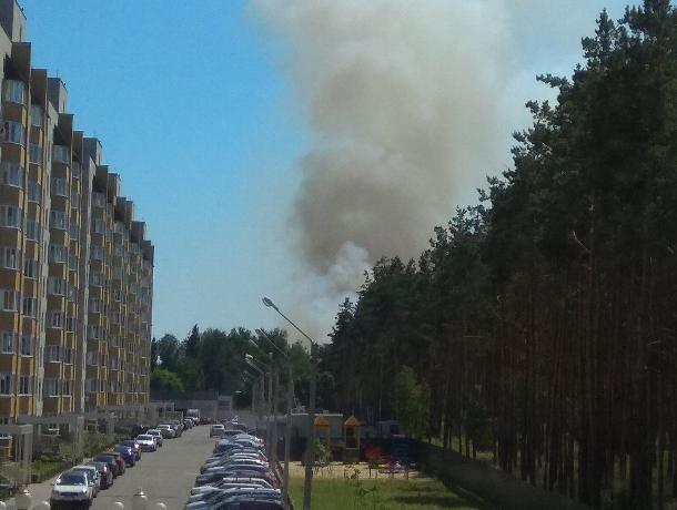 Воронежцы стали свидетелями крупного пожара у пляжа в Боровом