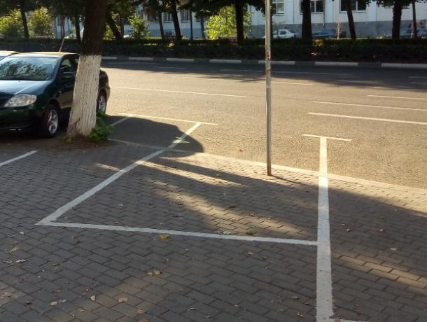 Курьезную разметку платной парковки высмеяли в Воронеже