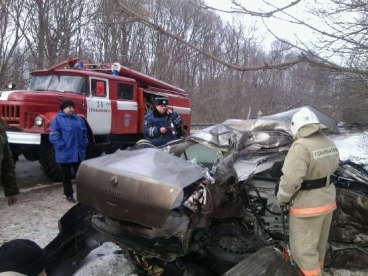 В Грибановском районе при столкновении «Рено» и грузовика «Вольво» погибли два человека