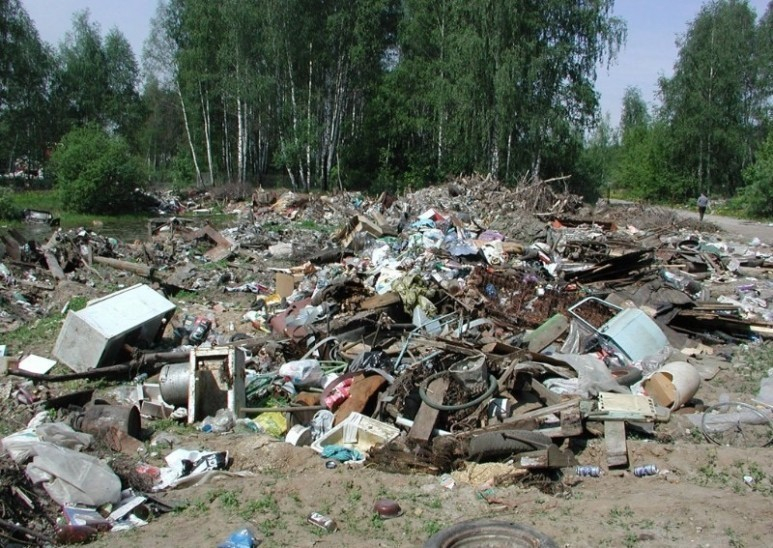 В Воронежской области нашли очередную незаконную свалку