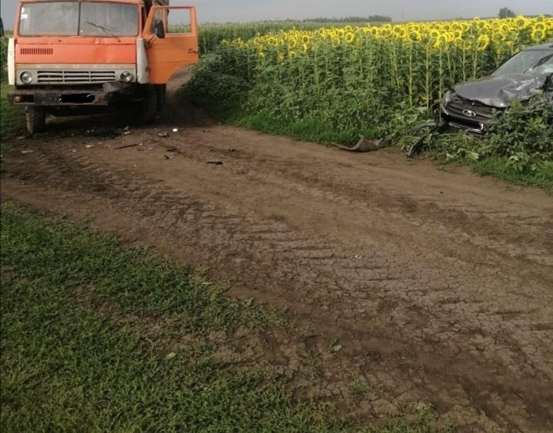 КамАЗ с легковушкой нарушили правила и столкнулись на подсолнуховом поле в Воронежской области