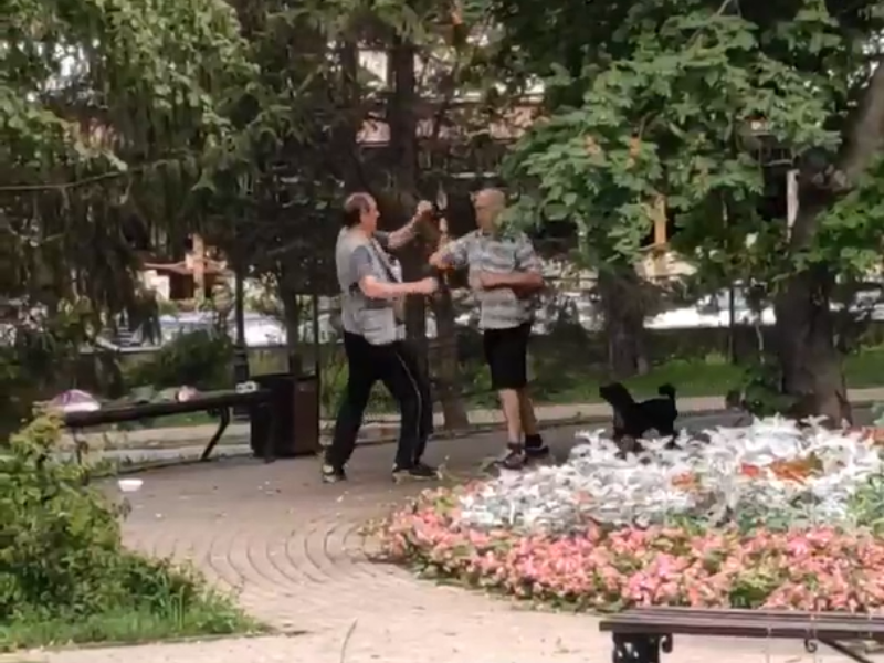 Воронежцы записали на видео кулачный бой в Петровском сквере