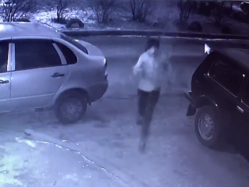 Чудесное спасение школьника от нападения собак попало на видео в Воронеже