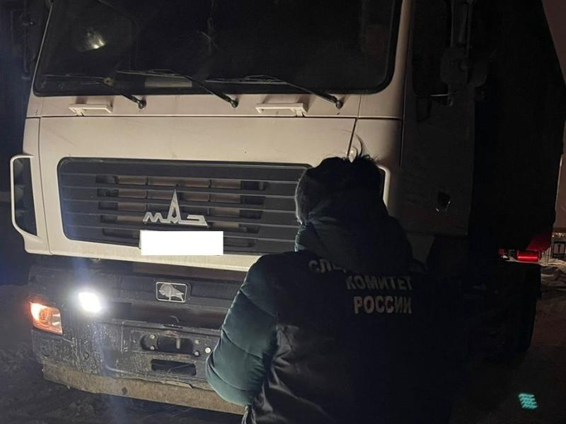 Водителя грузовика не посадили в тюрьму после смертельного наезда под Воронежем