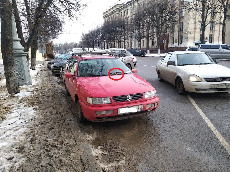 Пачку презервативов подкинули Volkswagen у здания правительства Воронежской области