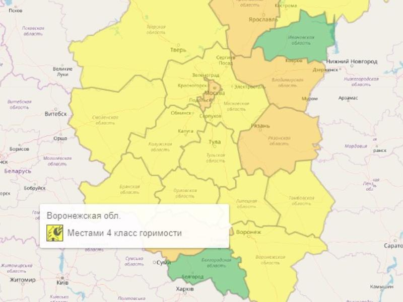 Рабочая неделя началась с жёлтого уровня опасности в Воронежской области