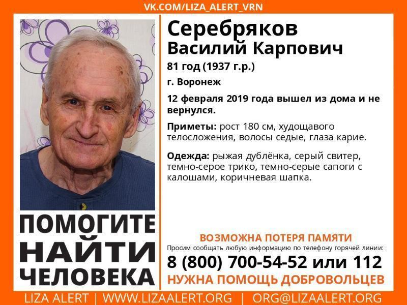 81-летнего мужчину в рыжей дубленке ищут в Воронеже