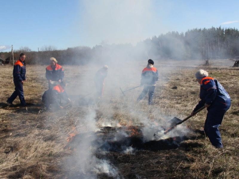 В Воронеже на две недели раньше введут противопожарный режим