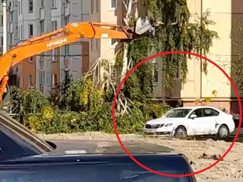 Снос дерева ковшом вблизи припаркованной машины сняли на видео в Воронеже
