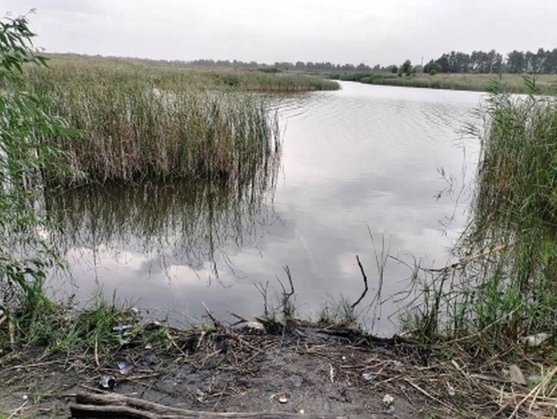 Смерть пенсионерки, которую достали из водоема, прокомментировали следователи в Воронеже