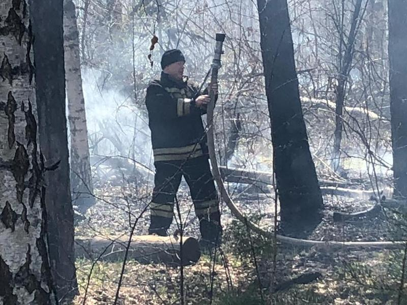 Опубликованы фото мощного ландшафтного пожара в Воронеже