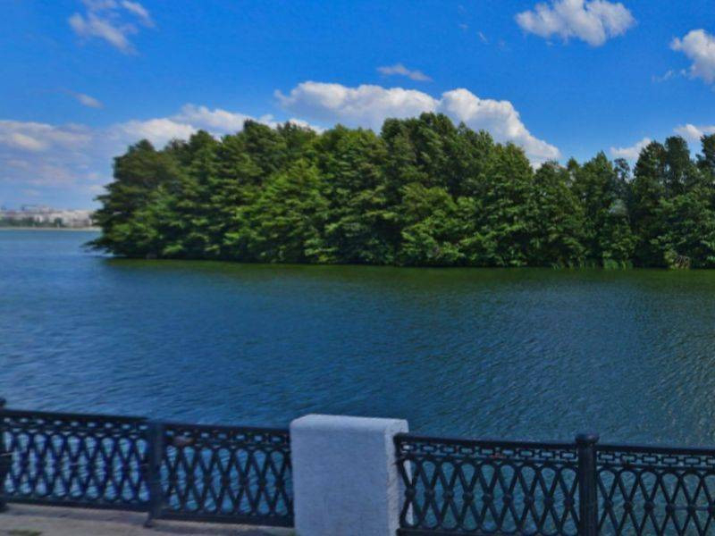 Петровский остров воронеж проект