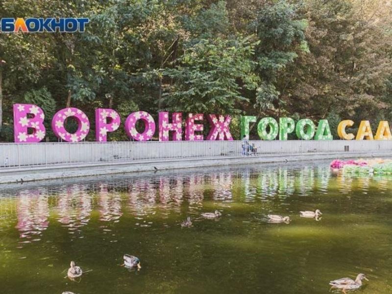 В Воронеже определились с местом проведения фестиваля «Город-сад»