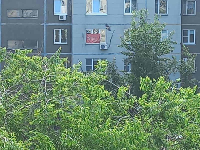 Военный марш и красное знамя: как Воронеж встречает День пограничника